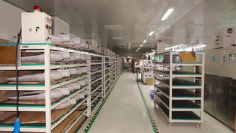 響應一帶一路倡議，燈具塑件企業積極拓展海外市場