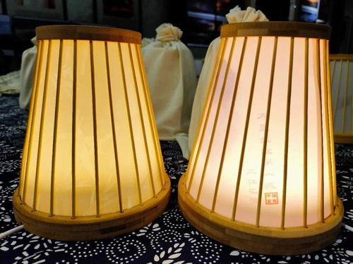 宜賓造智能竹燈發布 科技文創產品新玩法，燈具塑件引領未來